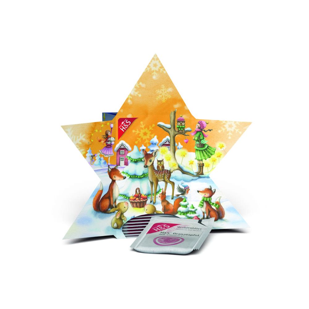 H&S Teezeit Adventskalender