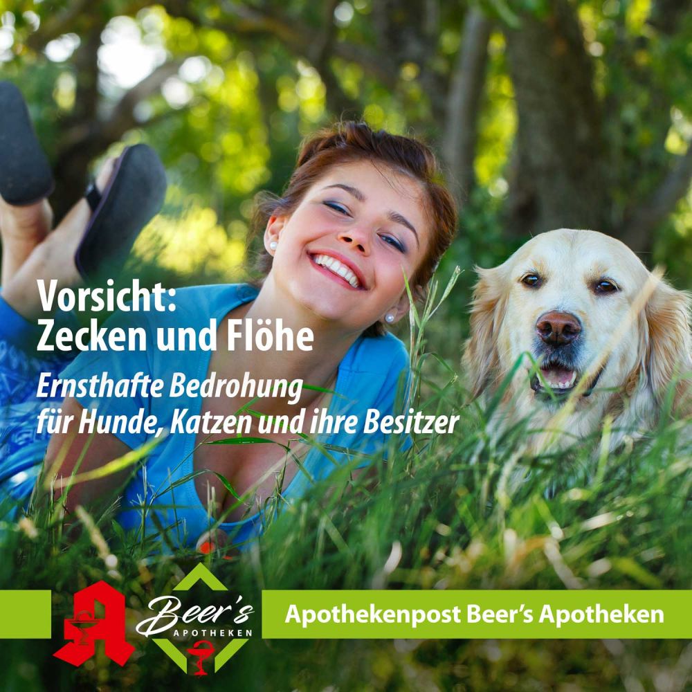 Ernsthafte Bedrohung für Hunde, Katzen und ihre Besitzer