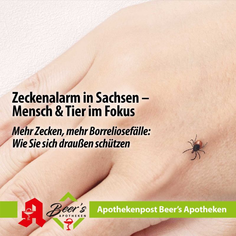 Zeckenalarm in Sachsen