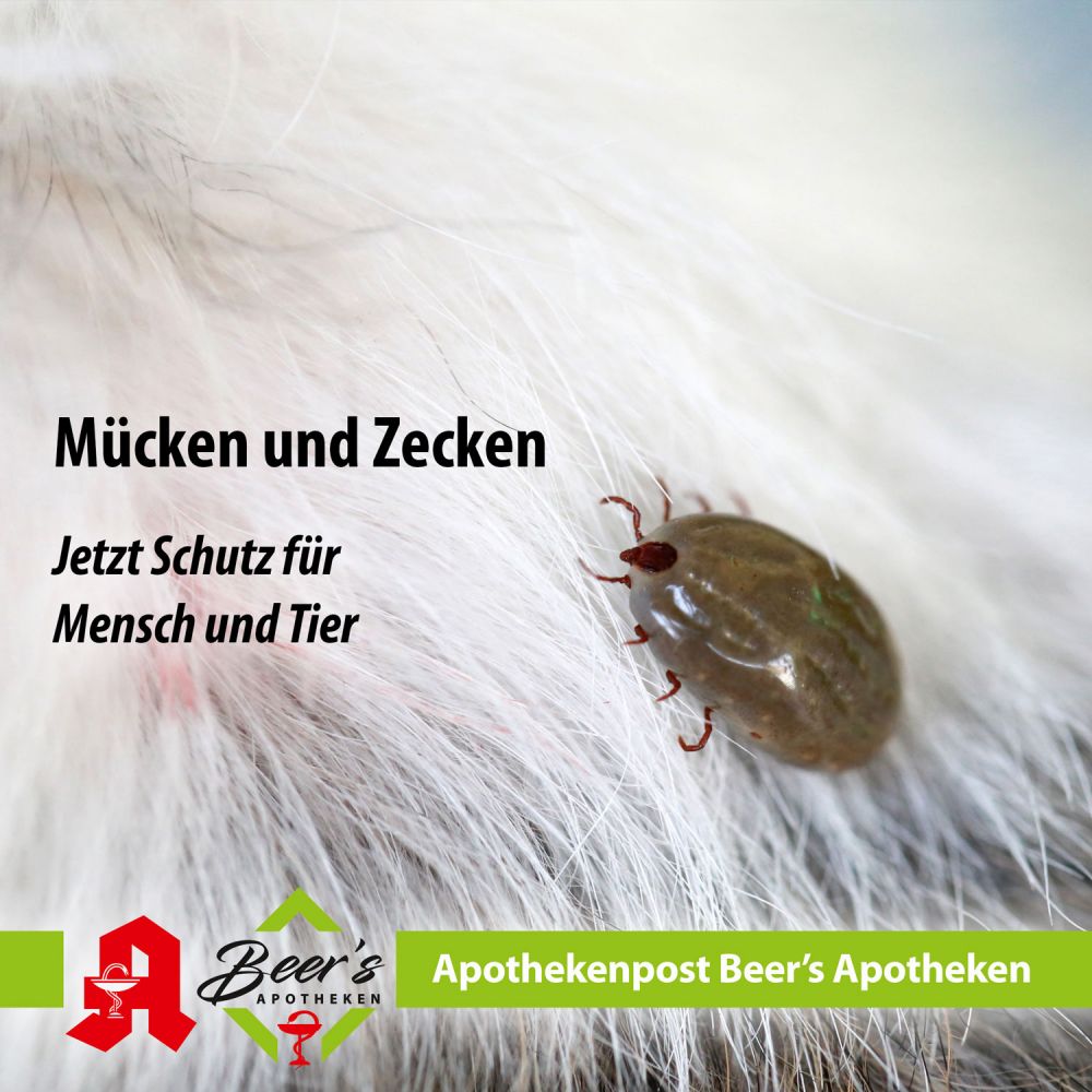 Jetzt Schutz für Mensch und Tier