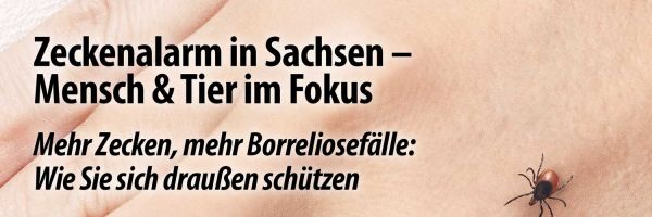 Zeckenalarm in Sachsen – Tipps & Produktempfehlungen