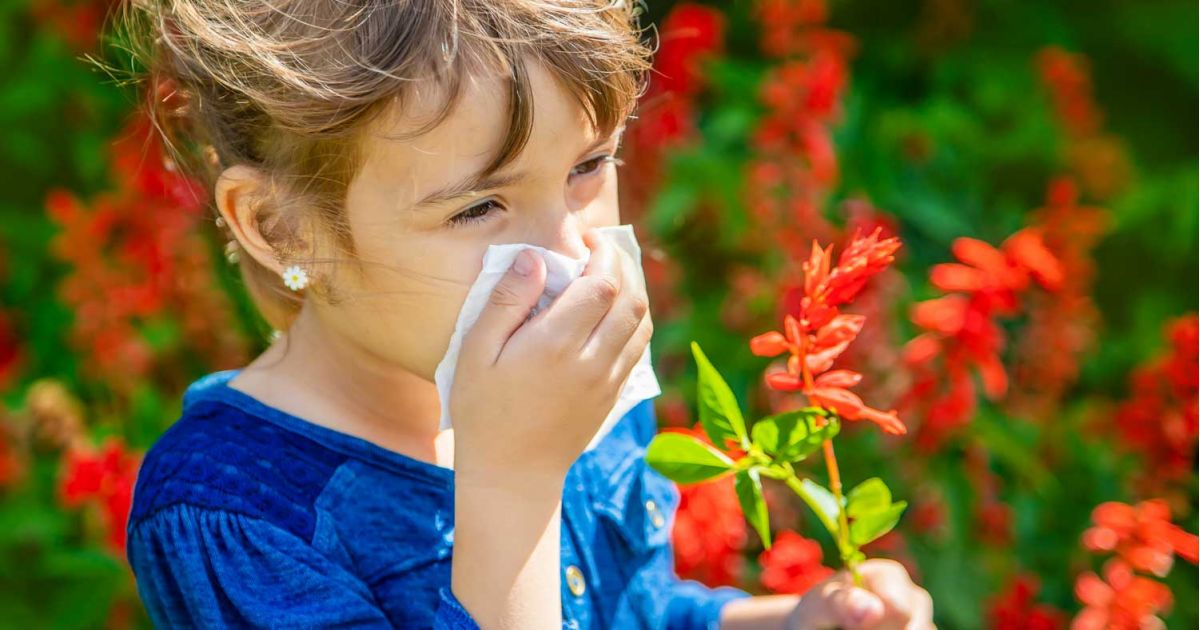Allergien und Unverträglichkeiten - Prävention, Erkennung und Umgang im Familienalltag