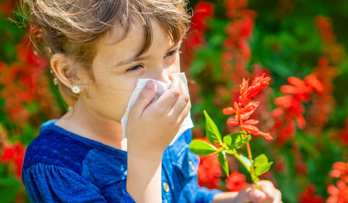 Allergien und Unverträglichkeiten - Prävention, Erkennung und Umgang im Familienalltag