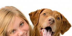 Hunde nicht im Auto lassen!
